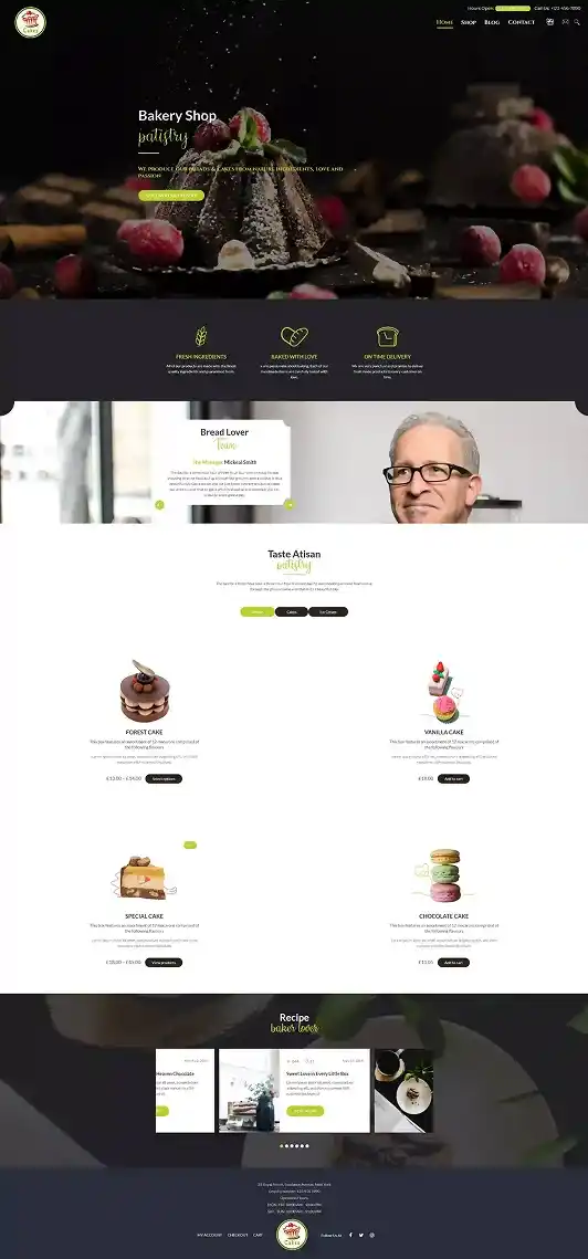 Get the best WordPress web design and development services